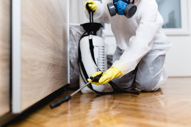 Best Rat Extermination Near Me  in Morgandale, OH