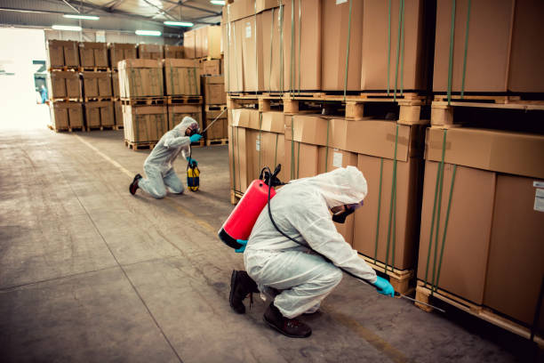 Best Best Pest Control Companies  in Morgandale, OH