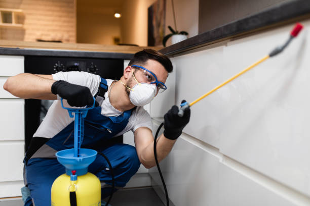 Reliable Morgandale, OH Pest Control Solutions