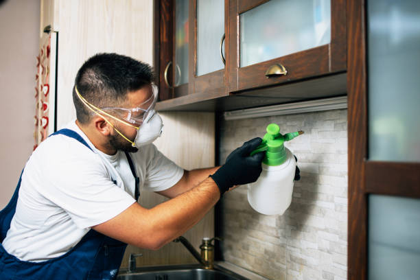 Best Exterminator Services  in Morgandale, OH