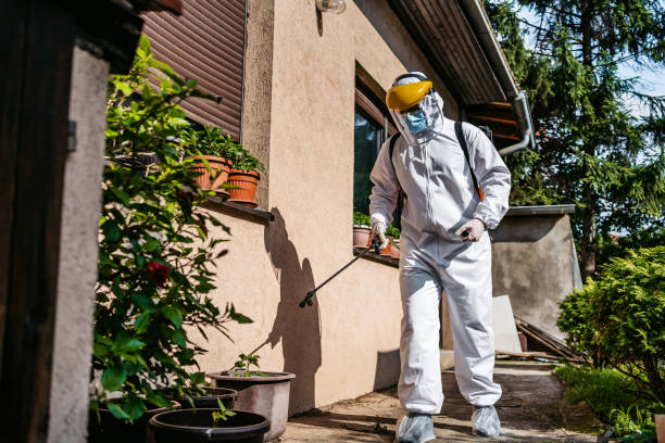 Best Best Pest Control Companies  in Morgandale, OH