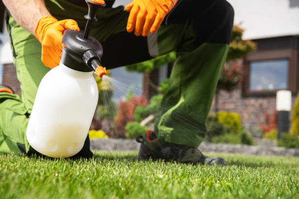 Best Ant Control Services  in Morgandale, OH