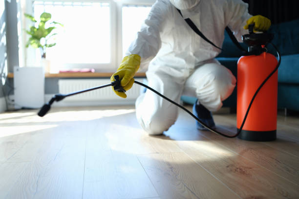 Best Flea Control Services  in Morgandale, OH