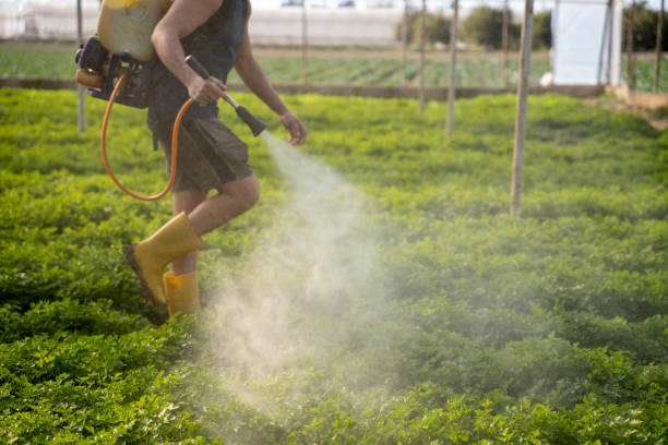 Best Commercial Pest Control Services  in Morgandale, OH