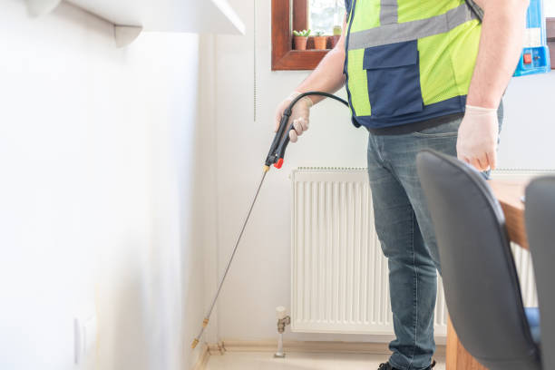 Best Local Pest Control Services  in Morgandale, OH