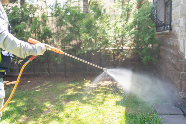 Best Affordable Exterminators  in Morgandale, OH