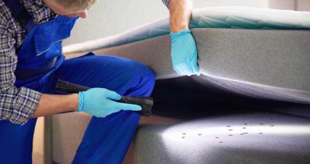 Best Termite Control Services  in Morgandale, OH