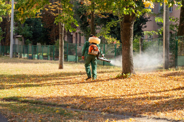Best Mosquito Control Services  in Morgandale, OH