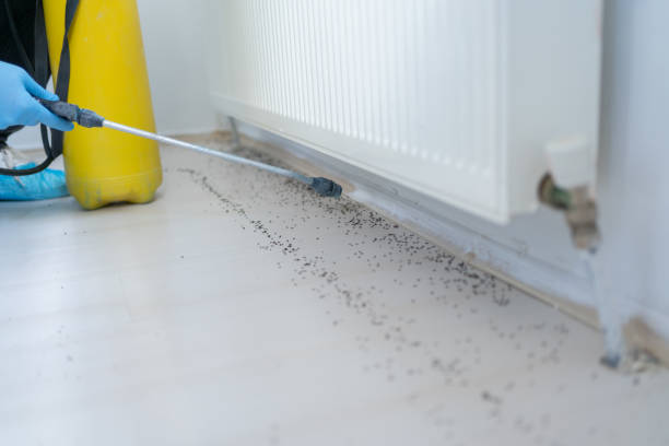 Best Pest Control Treatment  in Morgandale, OH